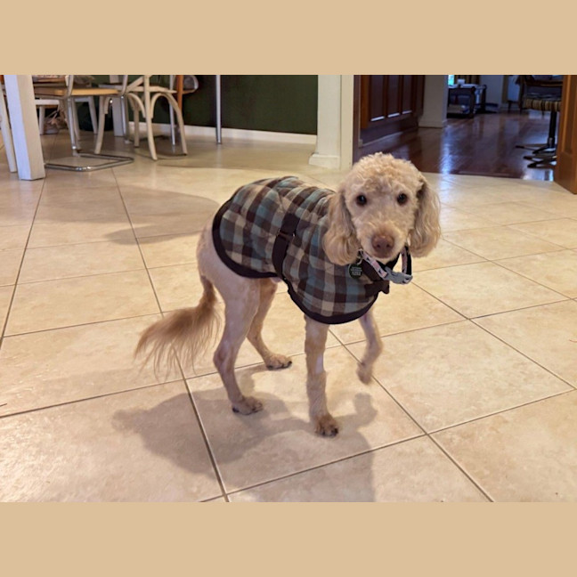 Photo of Alexander Silvanus