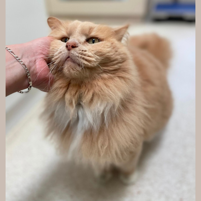 Photo of Garth (0030)