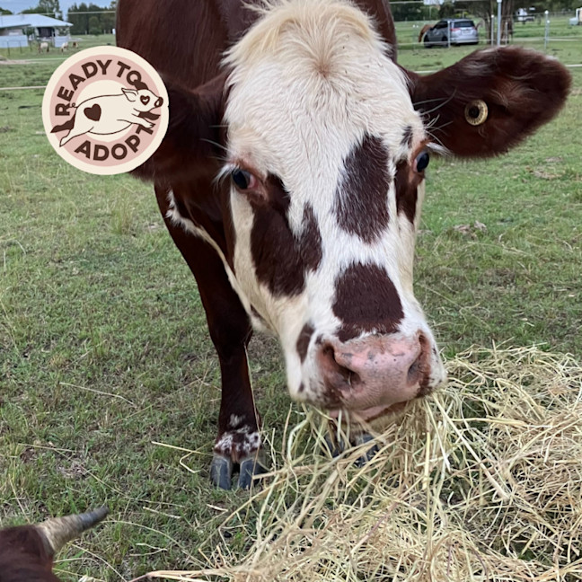 Photo of Bessie & Beatrice