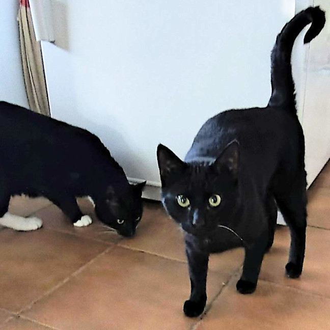 Photo of New Kid