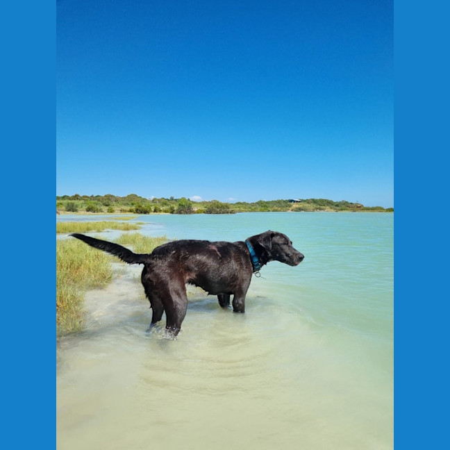 Photo of Rudi