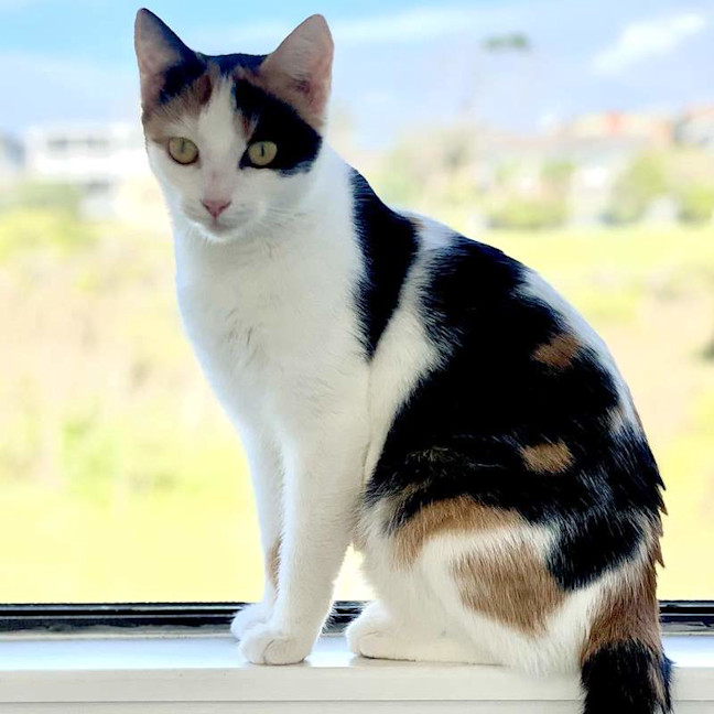 Photo of Mumm