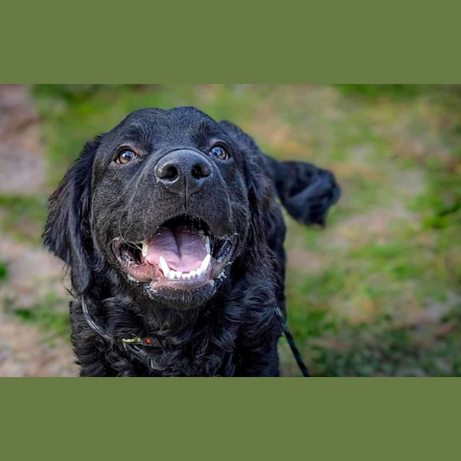 Photo of Kozzy