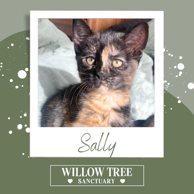 Photo of Sally