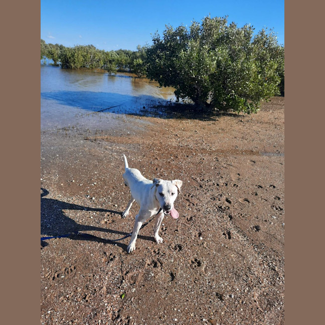 Photo of Seren