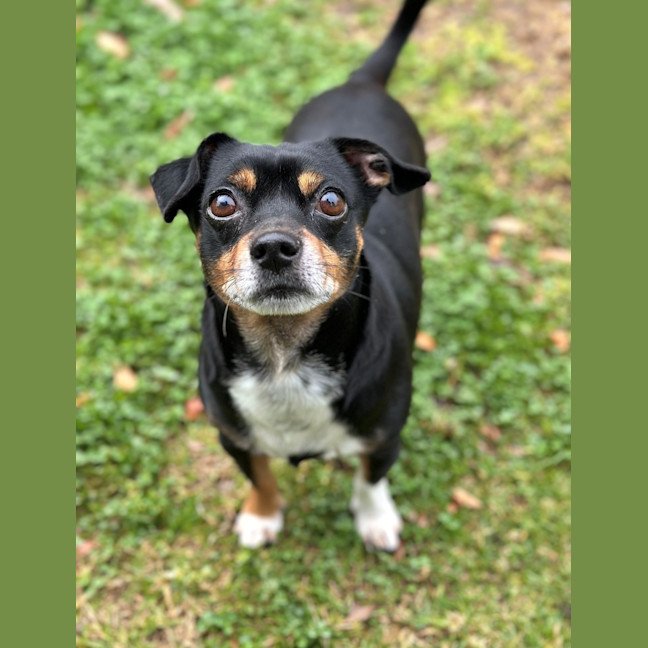 Photo of Mako & Buddy 