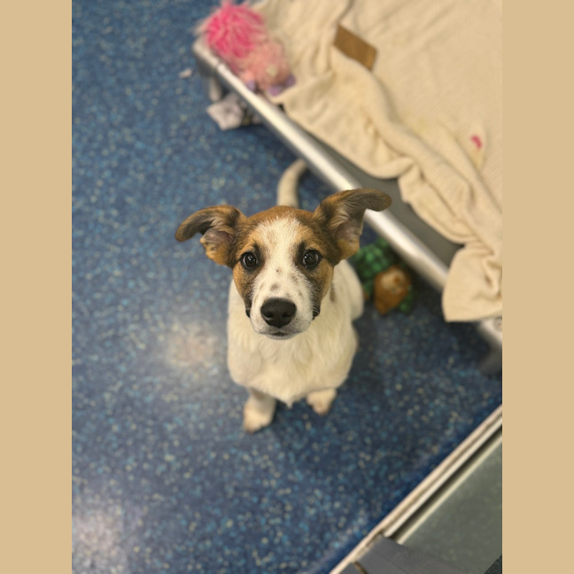 Photo of Sprout 
