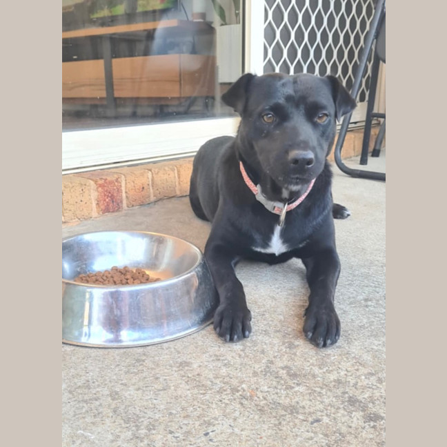Photo of Pippa