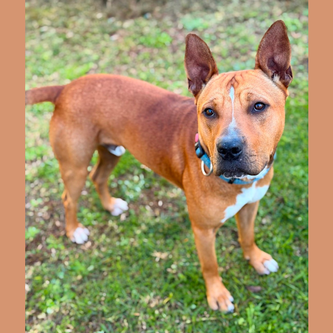 Photo of Reuben