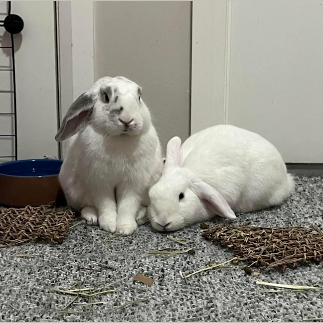 Photo of Amira And Timmy