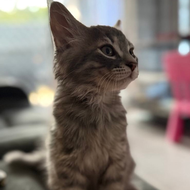 Photo of Harry