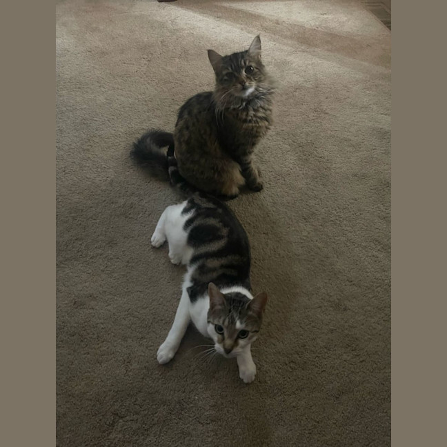 Photo of Ellie & Munchie