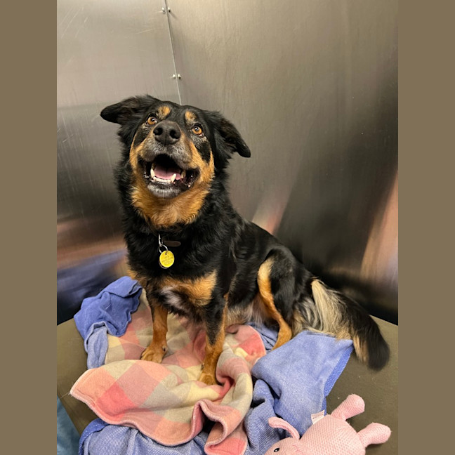 Photo of Millie (Was Gemma)