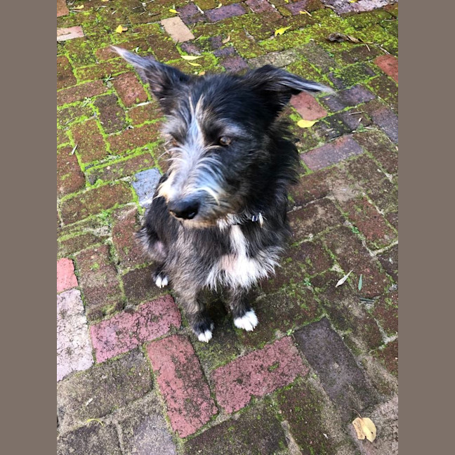 Photo of Winnie