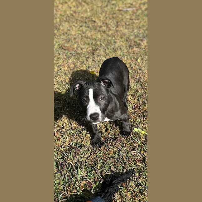 Photo of 🌼 Daisy 🌼 