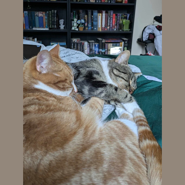 Photo of Tokyo & Miso 