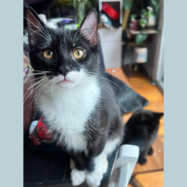 Photo of Phoebe