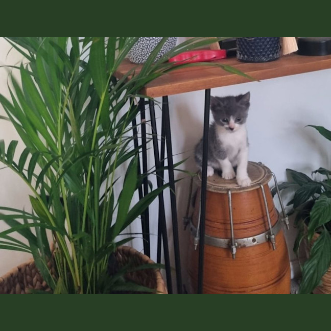 Photo of Luna 