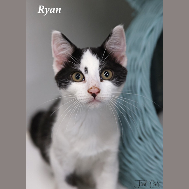 Photo of Ryan