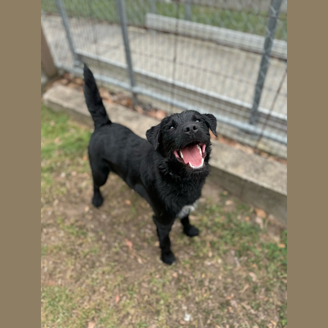 Photo of Buddy 