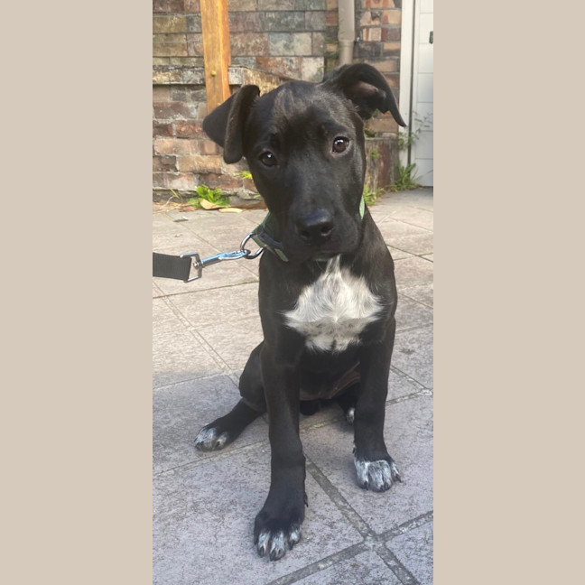 Photo of Coco
