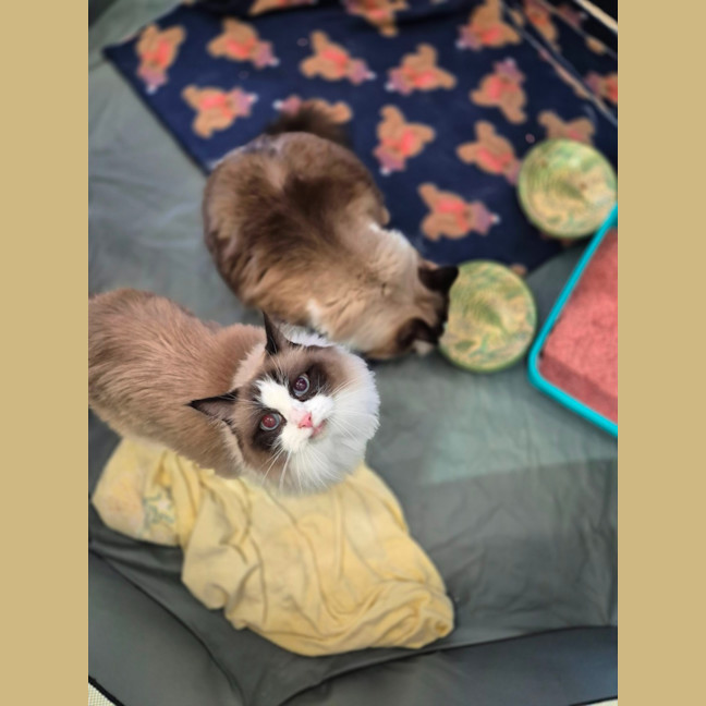 Photo of Bubbles And Lily 