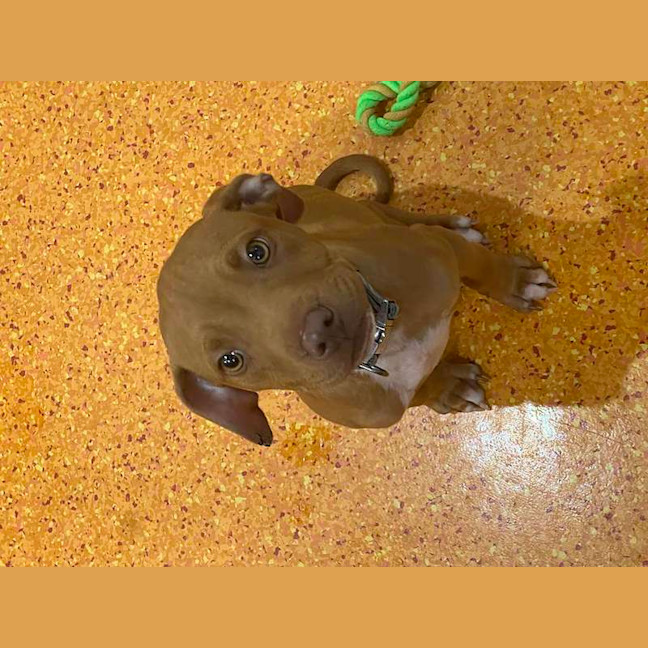 Photo of Thor