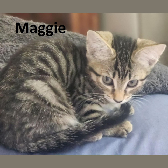 Photo of Maggie