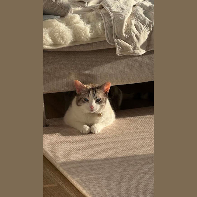 Photo of Millie