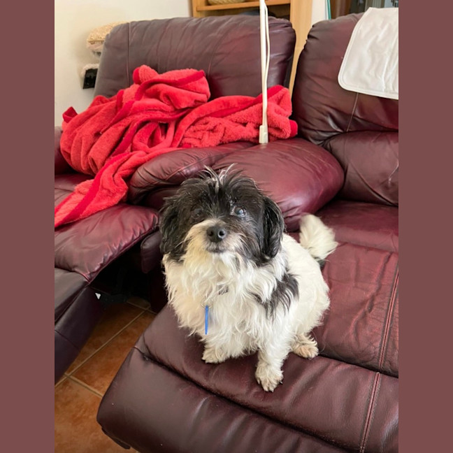 Photo of Missy And May