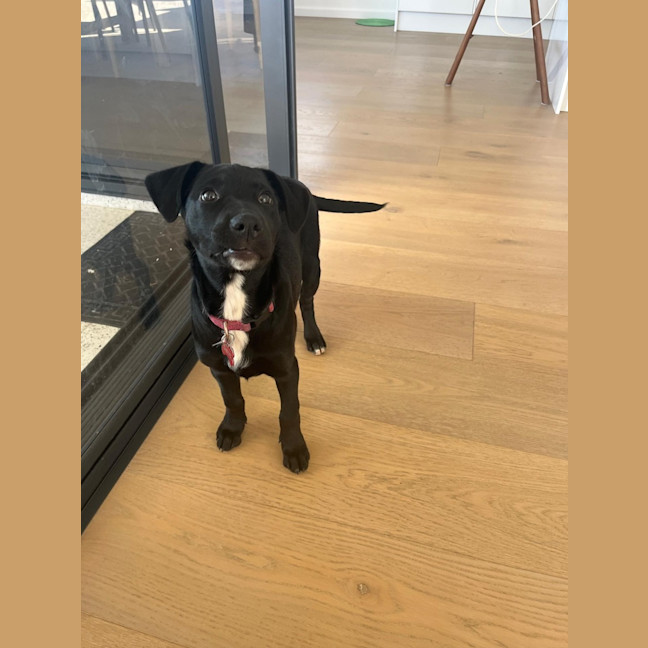Photo of Maisy