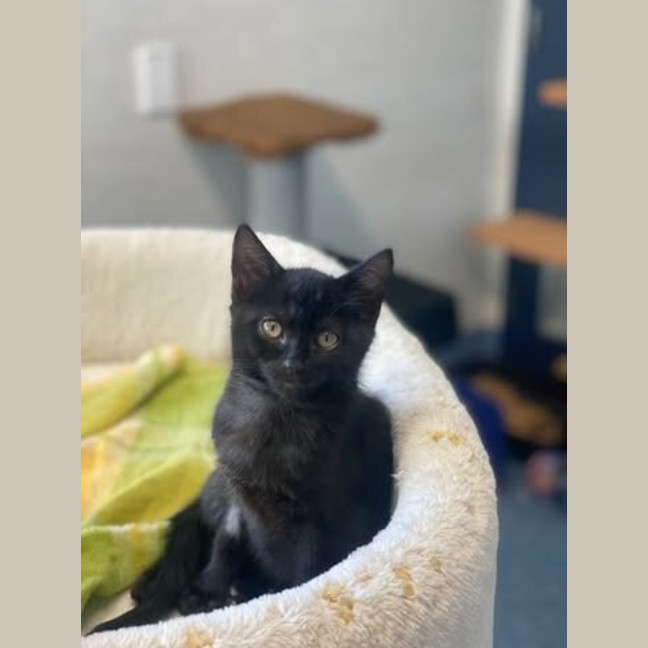 Photo of Effie