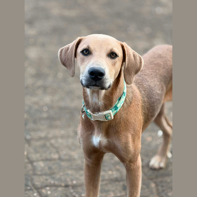 Photo of Archer