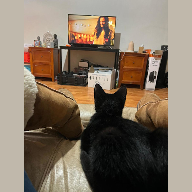 Photo of Bandit