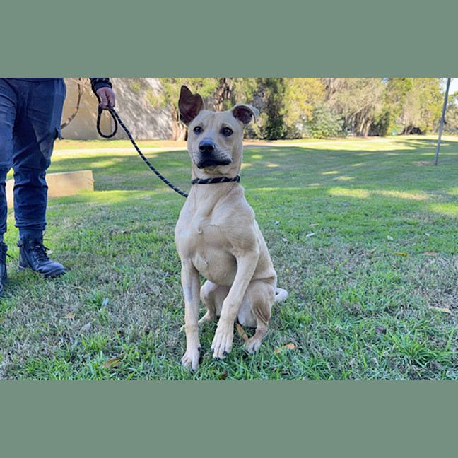 Photo of Slinky