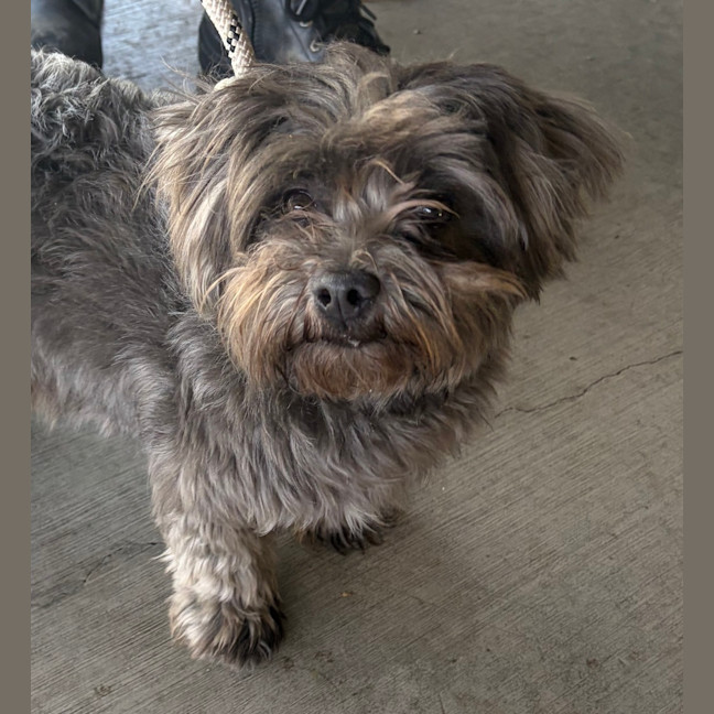 Photo of Coco
