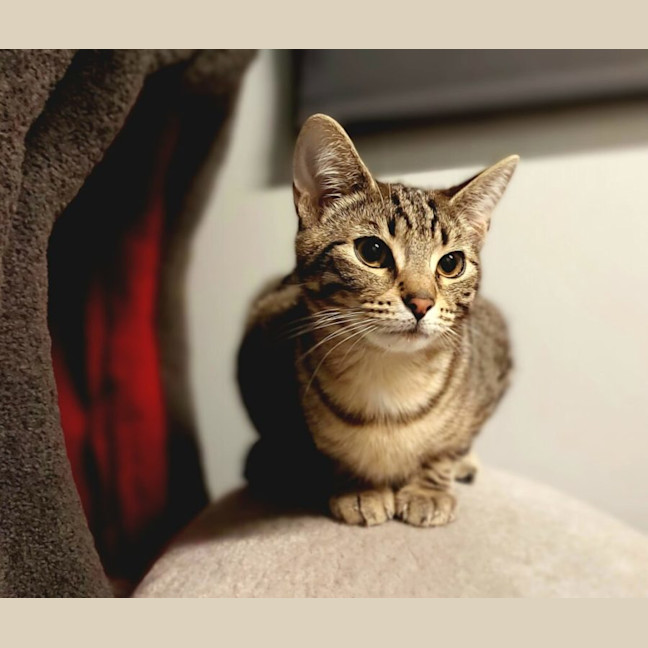 Photo of Miss Marple