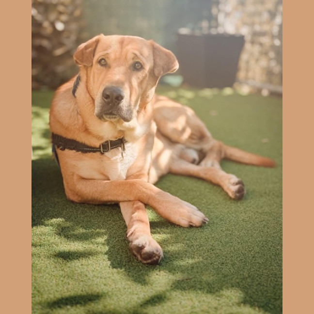 Photo of Ted
