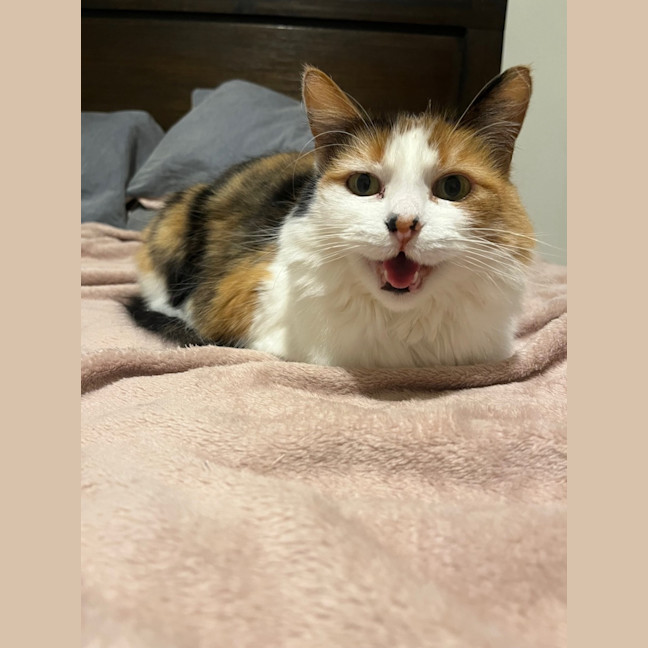 Photo of Miss Sassy Pants