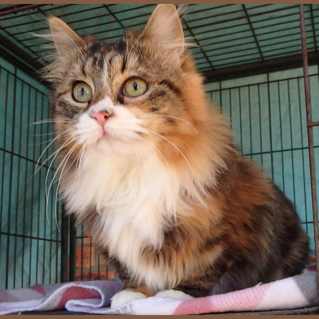 Photo of Hazel And Hannah