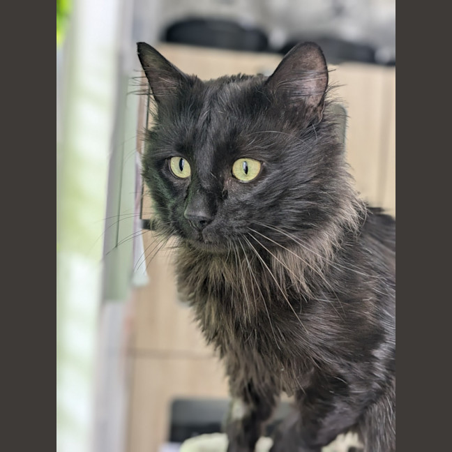 Photo of 🤴 Prince 5738 🤴