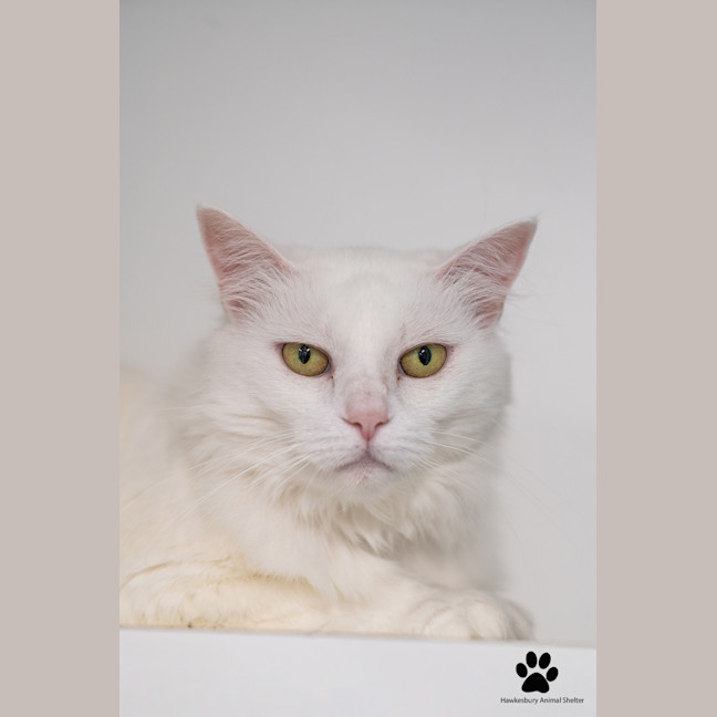 Photo of Maggie