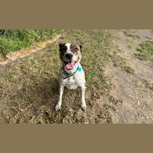 Photo of Lucy