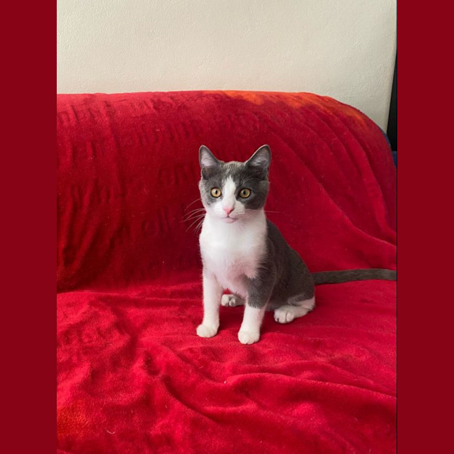 Photo of Jasper