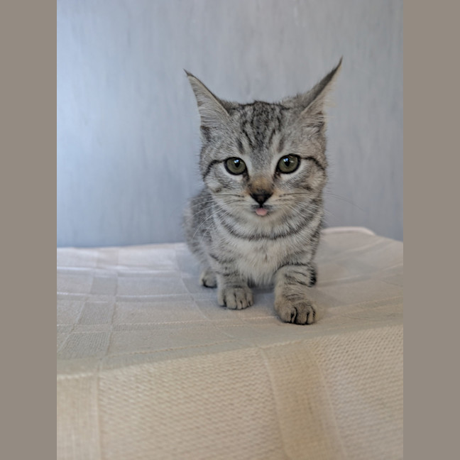 Photo of Timothy 