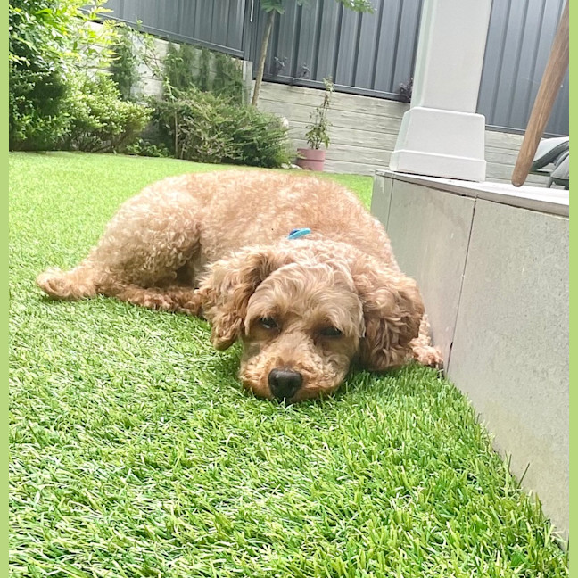 Photo of Lovely Murphy 