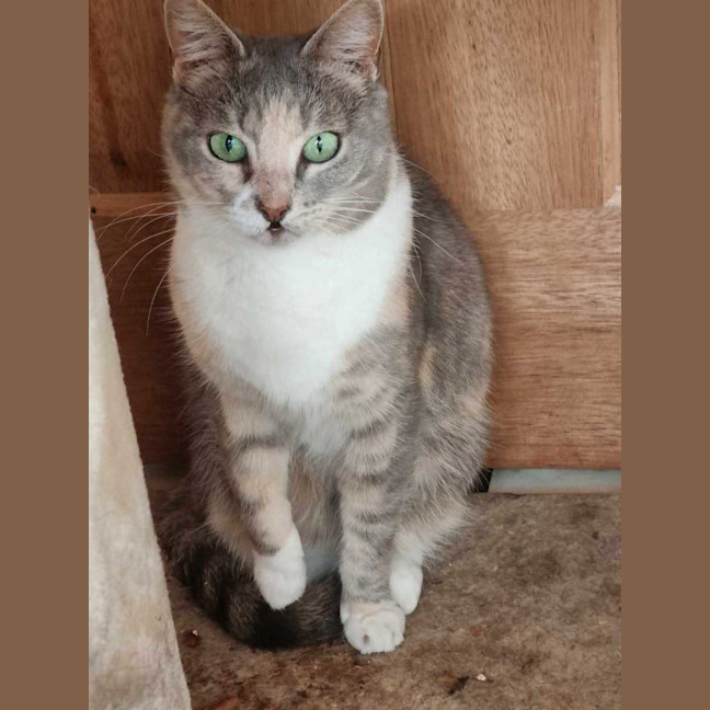Photo of Zoe