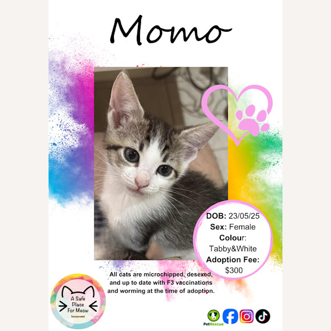 Photo of Momo