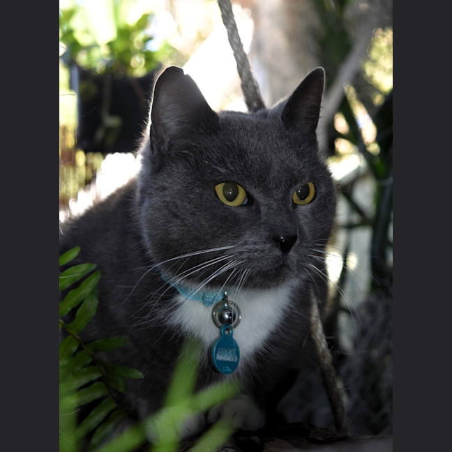Photo of Sylvie