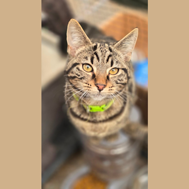 Photo of Spike
